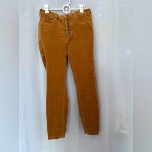 Anthropologie Tan Button-Fly Pants